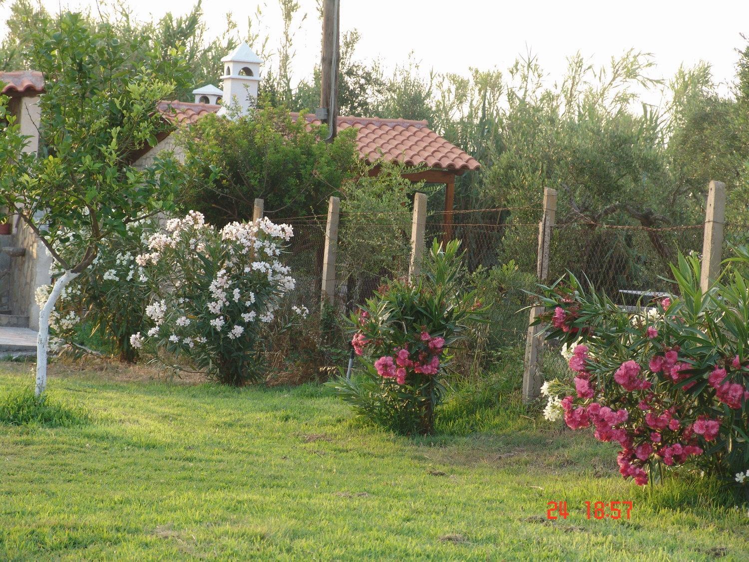 Terpsichore Apartments Kyparissia Exterior photo